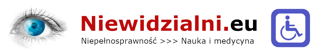 Logo Niewidzialni.eu (powrót na stronę główną)
